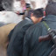 سوريا - حماه - حلفايا - 23-12-2012 - مدنيين و عناصر من الجيش الحر اثناء اجلاء ضحايا قصف طائرة الميغ على الخبز و الفرن - تصوير مراسل شام - سامر الحموي (11).jpg